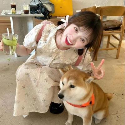 怪兽婆婆
