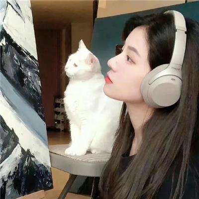 大宋奇案之狸猫换太子传奇